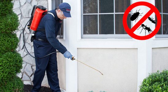 Yavuzeli Hamam Böceği İlaçlama böcek ilaçlama ve haşere kontrolü — ilaclama-tr.com